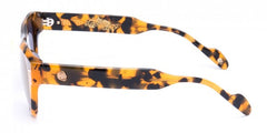 Ray Ban Cats sunglasses